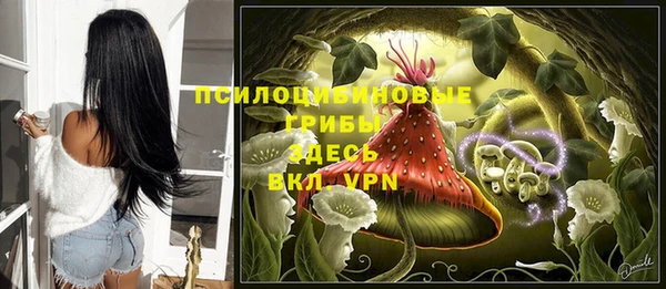 молекула духа Армянск