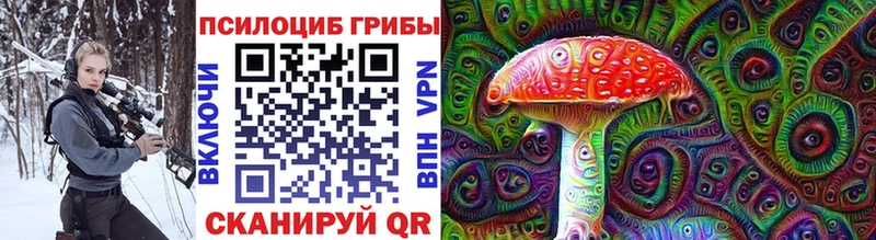 кракен рабочий сайт  Зеленокумск  Псилоцибиновые грибы GOLDEN TEACHER 